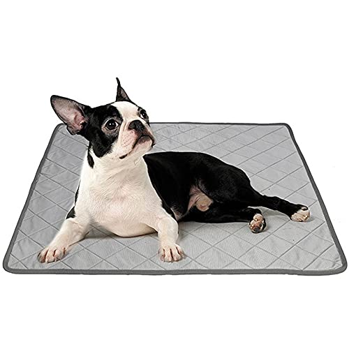 Hund Coole Matte Hund Cooling Matte Hund Cool Pad Haustier Coole Matte Pet Ice Silk Mat Ice Pad Für Hunde Und Katzen Im Sommer Pet Ice Pad Für Hunde Katzen Im Heißen Sommer Large Hund Coole Matte Hund Cooling Matte Hund Cool Pad Haustier Coole Matte Pet Ice Silk Mat Ice Pad Für Hunde Und Katzen Im Sommer Pet Ice Pad Für Hunde Katzen Im Heißen Sommer Large von Csheng