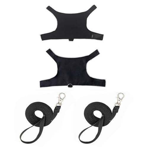 Csnbfiop Bartagamen Gehgeschirr Und Leine Set Für Outdoor Walking Training Sicheres Trainingsgeschirr Reptilien Kleidung 2 Set Csnbfiop Bartagamen Gehgeschirr Und Leine Set Für Outdoor Walking Training Sicheres Trainingsgeschirr Reptilien Kleidung 2 Set von Csnbfiop