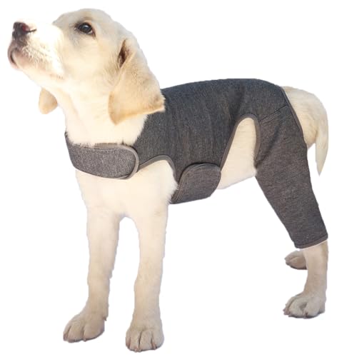 Csnbfiop Hunde Ellenbogenbandage Für Verletzte Gliedmaßen Fördert Komfort Hinterbeinbandage Haustier Hinterbeinbandage Gelenkschutz Hundeärmel Csnbfiop Hunde Ellenbogenbandage Für Verletzte Gliedmaßen Fördert Komfort Hinterbeinbandage Haustier Hinterbeinbandage Gelenkschutz Hundeärmel von Csnbfiop