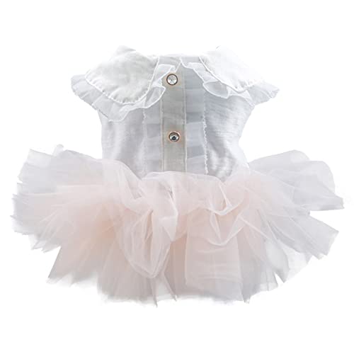 Csnbfiop Hundekleid Mit Plissiertem Kragen Hunderock Frühlings Abschnitt Brautkleider Süßer Süßer Hunderock Süßen Stil Csnbfiop Hundekleid Mit Plissiertem Kragen Hunderock Frühlings Abschnitt Brautkleider Süßer Süßer Hunderock Süßen Stil von Csnbfiop