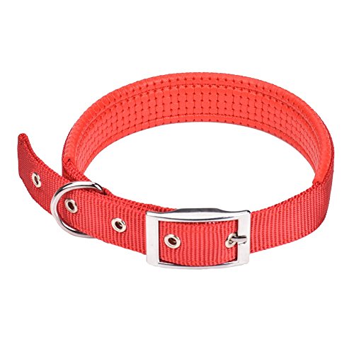 CtopoGo Comfy Hundehalsband Einstellbare Hundehalsband mit einfacher Schnalle Strong Nylon gepolstert Puppy Dog Hundehalsband für kleine/mittlere/große Hunde, Hals 12 "-24" von CtopoGo