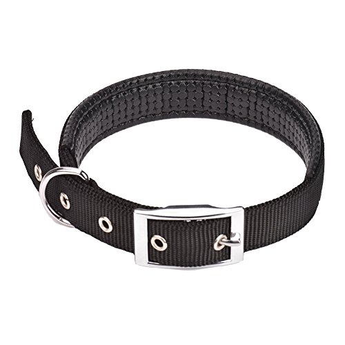 CtopoGo Comfy Hundehalsband Einstellbare Hundehalsband mit einfacher Schnalle Strong Nylon gepolstert Puppy Dog Hundehalsband für kleine/mittlere/große Hunde, Hals 12 "-24" von CtopoGo