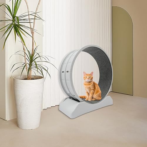 Katzenlaufrad Rund Laufrad für Katzen Grau Katzenlaufrad mit Arretierung Natürliche Katzenrad für Drinnen Katzen für Haushalte, Zoohandlungen 80 * 35 * 85 cm Katzenlaufrad Rund Laufrad für Katzen Grau Katzenlaufrad mit Arretierung Natürliche Katzenrad für Drinnen Katzen für Haushalte, Zoohandlungen 80 * 35 * 85 cm von CuCummoo