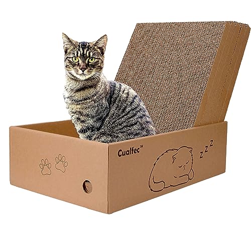 AccEncyc Extra großer Katzenkratzer aus Karton mit Box – Katzenkratzbox mit 5 Stück 41,9 x 28,4 cm Katzenkratzern für Indoor-Katzen, wendbares Katzenkratzpad – Design B AccEncyc Extra großer Katzenkratzer aus Karton mit Box – Katzenkratzbox mit 5 Stück 41,9 x 28,4 cm Katzenkratzern für Indoor-Katzen, wendbares Katzenkratzpad – Design B von Cualfec