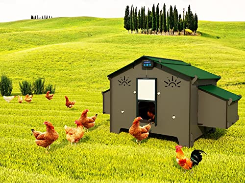 Hühnerstall für 20 Hühner, 4 Sitzstangen, 4 Außennester, automatische Tür inklusive Polly Chalet 4XL Grau, hergestellt in Italien von CUCCIOLOTTA