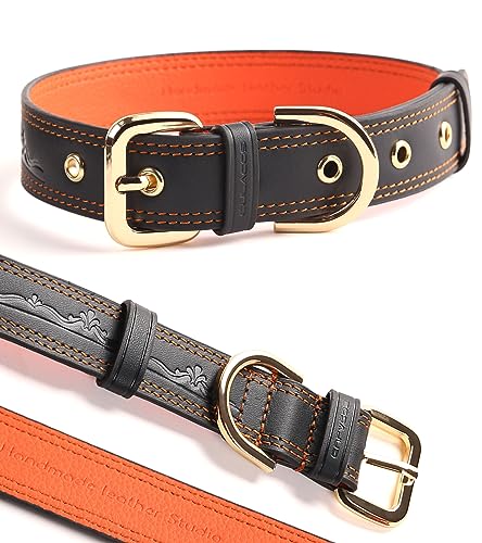 Culacos hundehalsband personalisiert Weich Unterlegt Echtes Lederhalsband Hund, Blue (25-35cm) von Culacos