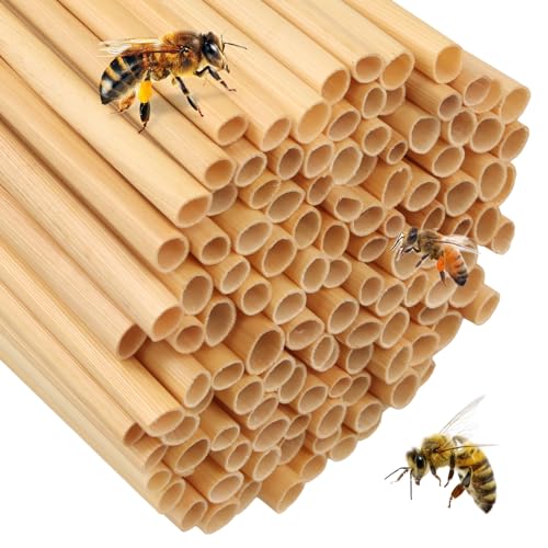 500 Pièces Tubes en Bambou, 14.5cm,Tubes de Nidification en Carton, Manchons de Nidification, Matériau de remplissage Pour Hôtel à Insectes, Maison à Insectes, Abeilles Sauvages 500 Pièces Tubes en Bambou, 14.5cm,Tubes de Nidification en Carton, Manchons de Nidification, Matériau de remplissage Pour Hôtel à Insectes, Maison à Insectes, Abeilles Sauvages von Culinavog