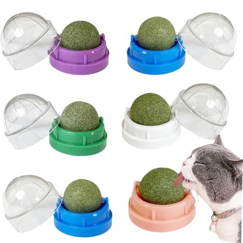 Culinavog 6 Stück Katzenminze Bälle zum Lecken, Drehbare Catnip Wandspielzeuge für Katzen, Katzenminze Ball Wand, Katzenminze Balls, Katzenminze Balls Spielzeug Für Katze Zahnpflege & Stressabbau Culinavog 6 Stück Katzenminze Bälle zum Lecken, Drehbare Catnip Wandspielzeuge für Katzen, Katzenminze Ball Wand, Katzenminze Balls, Katzenminze Balls Spielzeug Für Katze Zahnpflege & Stressabbau von Culinavog