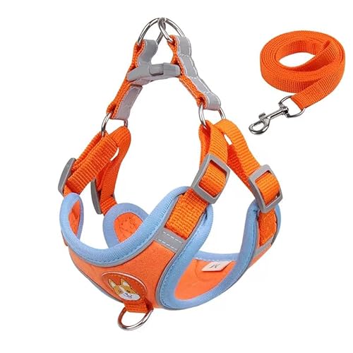 Culinavog Hundegeschirr Set, 1 Stück Verstellbares Hundegeschirr mit Gepolsterter Weste, Einfach zu bedienen, Mehrzweck Dog Harness, Welpengeschirr für Kleine Hunde, Katzengeschirr (Orange, X-Small) von Culinavog