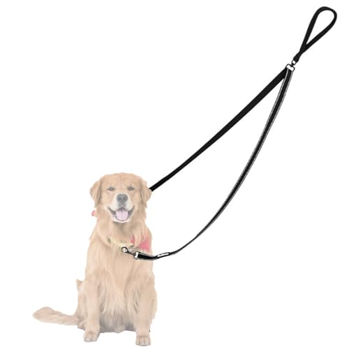 Zwei-Punkt-Kontroll-Hundeleine, doppelseitige Leine für Hunde, Nylon, verstellbare freihändige Leine für große, mittelgroße und kleine Hunde, Spazierengehen, Laufen, Training von Cunegra