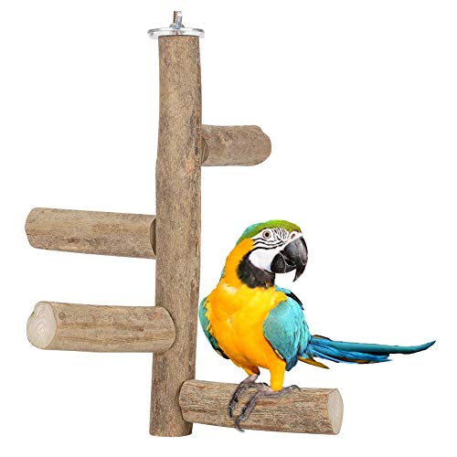 Cuque Verrückter Papageienholz Zweige, Barsch Aktivität Stehend Papagei Barsch Holzständer Papagei Kletterleiter Haustier Papagei Spielzeug, Kauen beißen für Vogelkäfig Papageien hängen Schaukel Cuque Verrückter Papageienholz Zweige, Barsch Aktivität Stehend Papagei Barsch Holzständer Papagei Kletterleiter Haustier Papagei Spielzeug, Kauen beißen für Vogelkäfig Papageien hängen Schaukel von Cuque