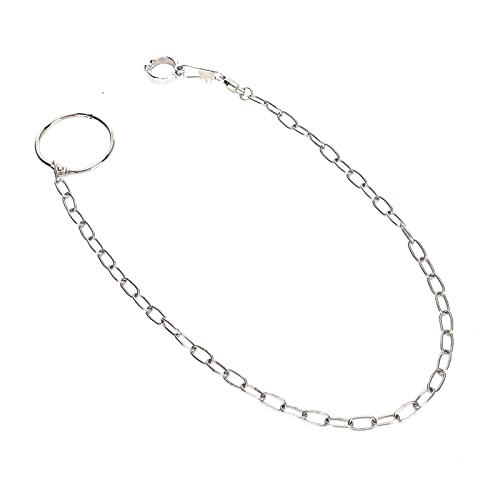 Cuque Edelstahl-Fußkette, ParrotTraining-Fußkettchenring, Frei Beweglicher Goldener Sonnenmönch Keck, Korrosionsbeständig für Große Papageien Cuque Edelstahl-Fußkette, ParrotTraining-Fußkettchenring, Frei Beweglicher Goldener Sonnenmönch Keck, Korrosionsbeständig für Große Papageien von Cuque