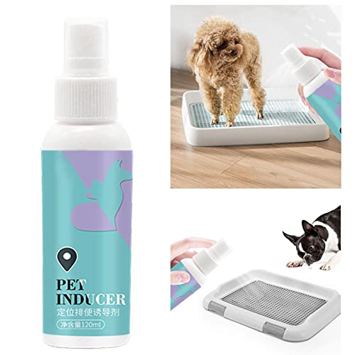 Cuque Hundetöpfchen-Trainingsspray 120 Ml Kompaktes und Dennoch Effektives Spray für Sanftes Töpfchentraining für Welpen Im Innenbereich Cuque Hundetöpfchen-Trainingsspray 120 Ml Kompaktes und Dennoch Effektives Spray für Sanftes Töpfchentraining für Welpen Im Innenbereich von Cuque