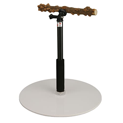 Cuque Papageienstation, Verstellbare Sitzstange mit Abnehmbarem, Leicht zu Reinigendem Acrylsockel FüR den Innenbereich Cuque Papageienstation, Verstellbare Sitzstange mit Abnehmbarem, Leicht zu Reinigendem Acrylsockel FüR den Innenbereich von Cuque