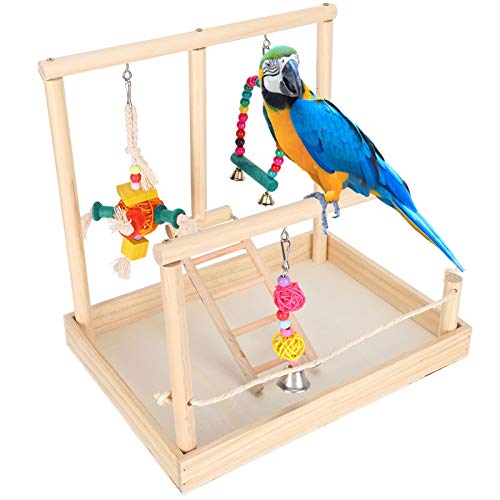 Verrückter Massivholz Kleinere Vögel Stehstock, Zuverlässiger Vogel Massivholzständer, Papageienständer Vogel Verrückter Massivholz Kleinere Vögel Stehstock, Zuverlässiger Vogel Massivholzständer, Papageienständer Vogel von Cuque