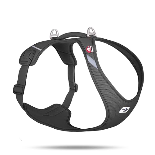 Belka Harness Air-Mesh Black 4XL von Curli