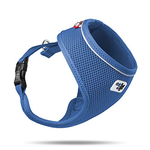 Basic Harness Air-Mesh Blue XL von Curli