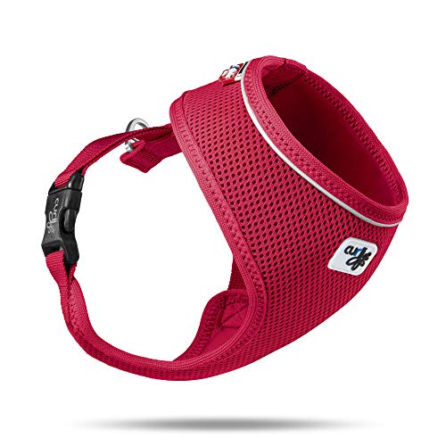 Basic Harness Air-Mesh Red XL von Curli