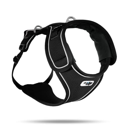 Belka Harness Black M von Curli