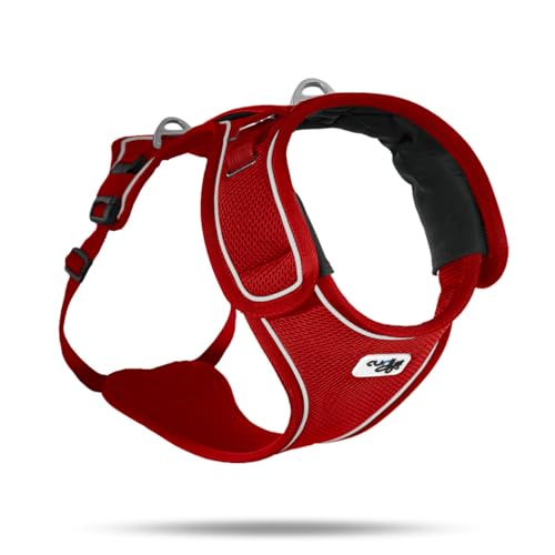 Belka Harness Red S von Curli