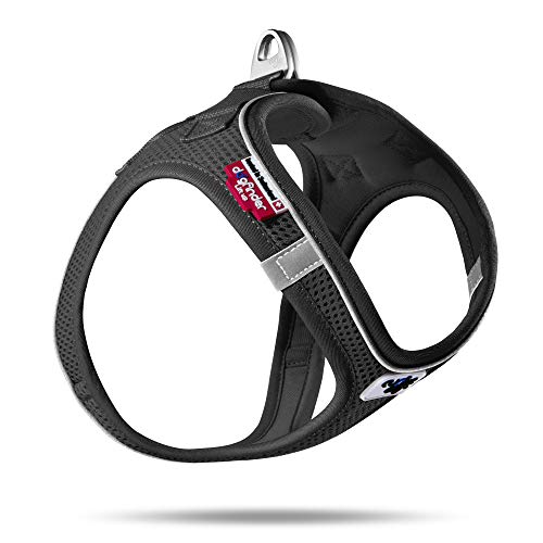 Magnetic Vest Harness Air-Mesh Black 2XS Magnetic Vest Harness Air-Mesh Black 2XS von Curli
