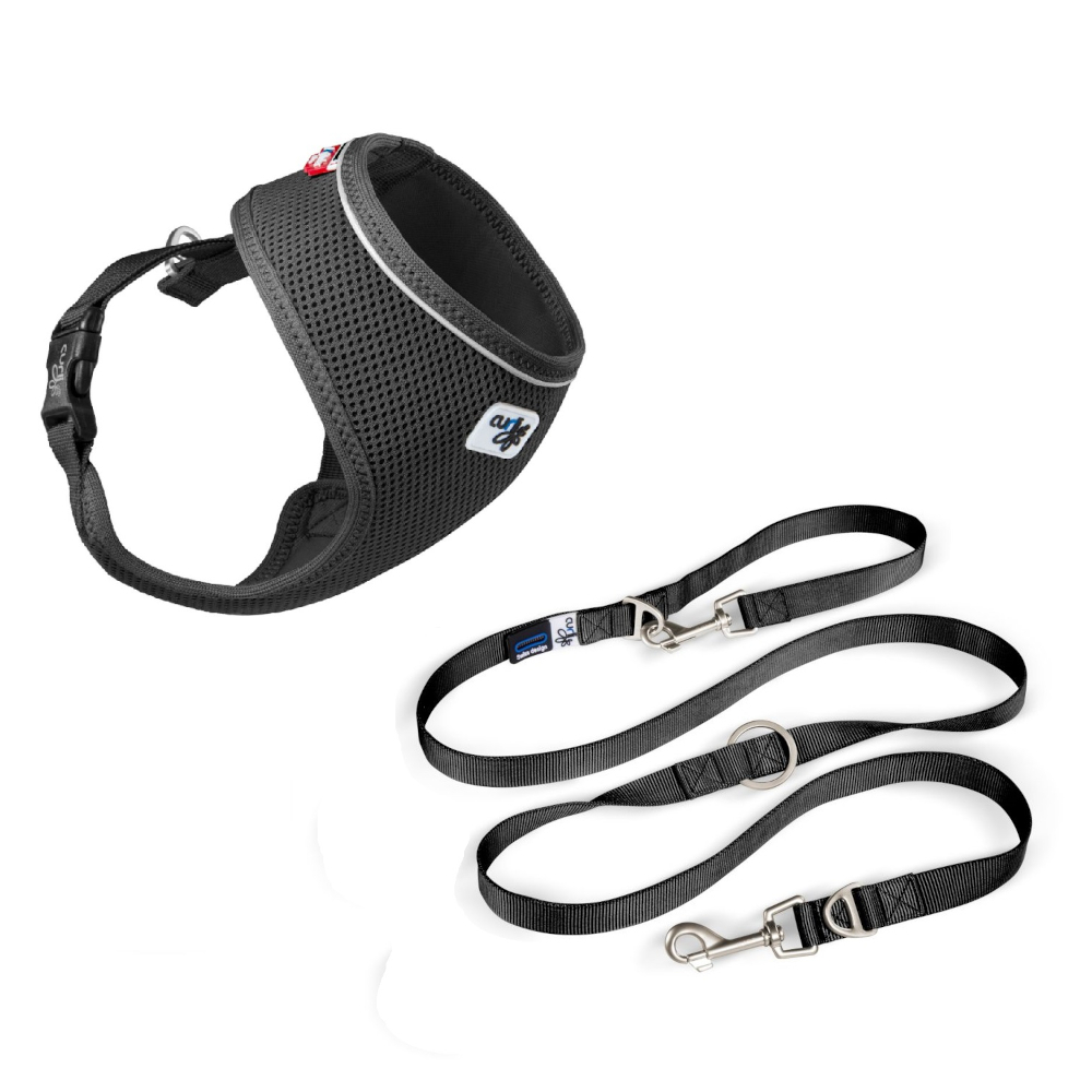 Curli Set: Air-Mesh Basic Geschirr & Leine, schwarz - Geschirr Gr. M & Leine Gr. L: 200 cm lang, 20 mm breit Curli Set: Air-Mesh Basic Geschirr & Leine, schwarz - Geschirr Gr. M & Leine Gr. L: 200 cm lang, 20 mm breit von Curli