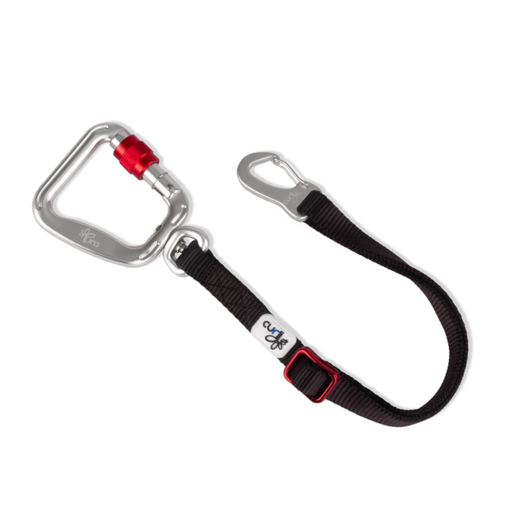 Curli Sicherheitsgurt für Auto - Größe L: 60 cm lang, 20 mm breit Curli Sicherheitsgurt für Auto - Größe L: 60 cm lang, 20 mm breit von Curli