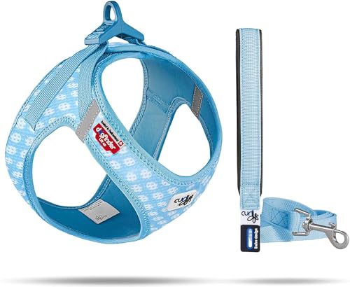 Vest Harness curli Clasp Air-Mesh SkyBlue-Circles 2XS & Leash M von Curli