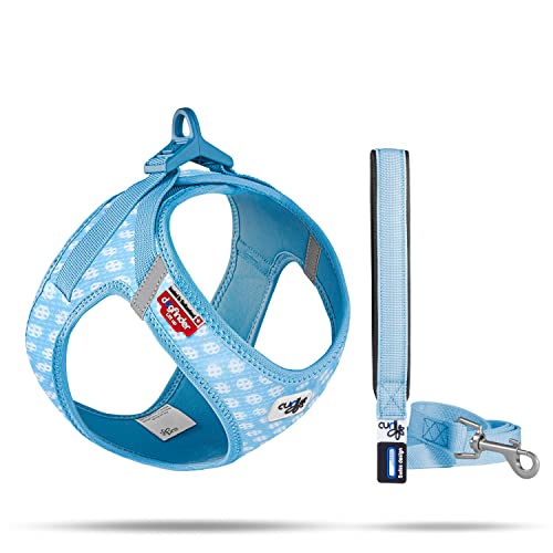 Vest Harness curli Clasp Air-Mesh SkyBlue-Circles 3XS & Leash M Vest Harness curli Clasp Air-Mesh SkyBlue-Circles 3XS & Leash M von Curli