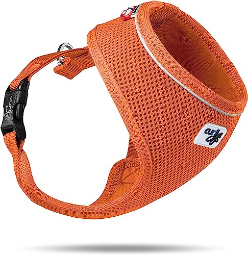 Basic Harness Air-Mesh Orange M Basic Harness Air-Mesh Orange M von Curli