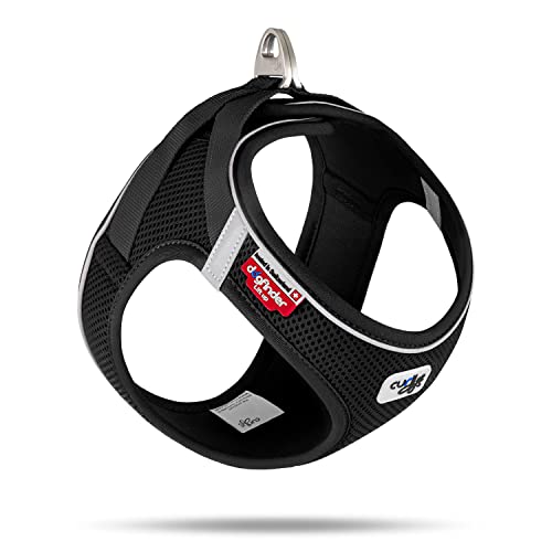 Magnetic Vest Harness Air-Mesh V2 Black 2XS von Curli