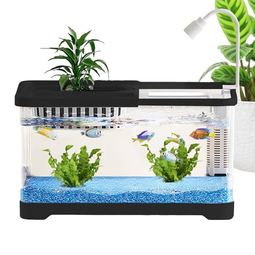 Cushangty Aquarium - Kleine Aquarium Komplettsets,Klare Landschaftsbecken Für Guppys Schnecken Schildkröten Haustierliebhaber Anfänger Schreibtisch Wohnung Cushangty Aquarium - Kleine Aquarium Komplettsets,Klare Landschaftsbecken Für Guppys Schnecken Schildkröten Haustierliebhaber Anfänger Schreibtisch Wohnung von Cushangty