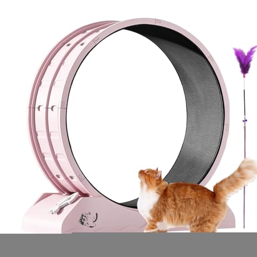 Cushangty Katzen Trainingsrad | Fitnessausrüstung für Kätzchen - Leises Kätzchenlaufrad Mit Entfernbarer Laufmatte Zur Einfachen Reinigung, Geeignet Für Die Cushangty Katzen Trainingsrad | Fitnessausrüstung für Kätzchen - Leises Kätzchenlaufrad Mit Entfernbarer Laufmatte Zur Einfachen Reinigung, Geeignet Für Die von Cushangty