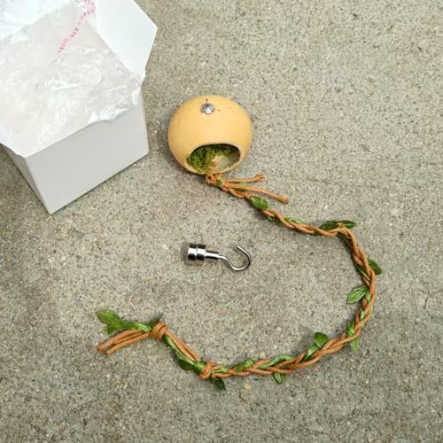 Cushangty Springspinnen Versteck | Magnethöhle Für Springspinnen Versteckplatz,Terrarium Versteckhaus Zubehör Für Geckos Kleine Reptilien Insekten von Cushangty