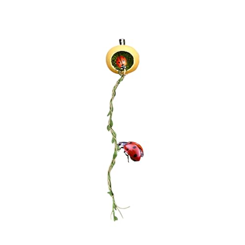 Cushangty Zubehör Für Springspinnen Terrarium | Magnethöhle Für Springspinnen Versteckplatz - Terrarien Habitat Verstecke Zubehör Für Reptilien Glattechsen Gliederfüßer von Cushangty