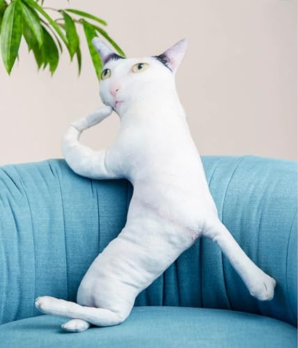 Personalisierbares Haustierkissen, personalisierbares Katzenkissen, beste Katzenliebhaber, Geschenk, Form, Katze, Plüschkissen, Hundefoto, Fotokissen, Haustierverlust, Katze, Dame Geschenk Personalisierbares Haustierkissen, personalisierbares Katzenkissen, beste Katzenliebhaber, Geschenk, Form, Katze, Plüschkissen, Hundefoto, Fotokissen, Haustierverlust, Katze, Dame Geschenk von Custom System