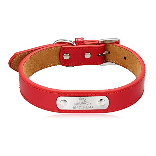 Custom4U Verstellbar Hundehalsband aus weiches Echtes Leder mit graviertem Namensschild Size XXL (3 * 60CM) in Rot Perfekt für Kleine, Mittelgroße, Große Hunde von Custom4U