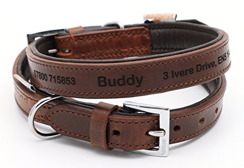 Feines personalisiertes gepolstertes Lederhalsband für Hund | Schaffen Sie Ihr einzigartiges Tierkennzeichen | Lasergravur von CustomDesign.Shop