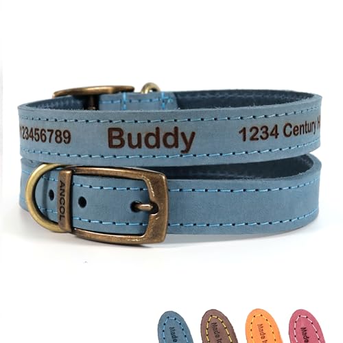 Personalisiertes Lederhalsband für Hund + optionale Leine | Lasergravur - Blau, Größe 5 von CustomDesign.Shop