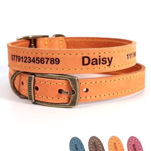 Personalisiertes Lederhalsband für Hund + optionale Leine | Lasergravur - Hellbraun, Größe 5 von CustomDesign.Shop