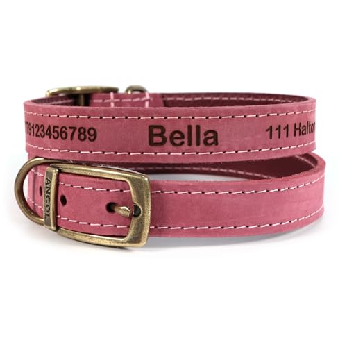 Personalisiertes Lederhalsband für Hund + optionale Leine | Lasergravur - Rot, Größe 5 von CustomDesign.Shop