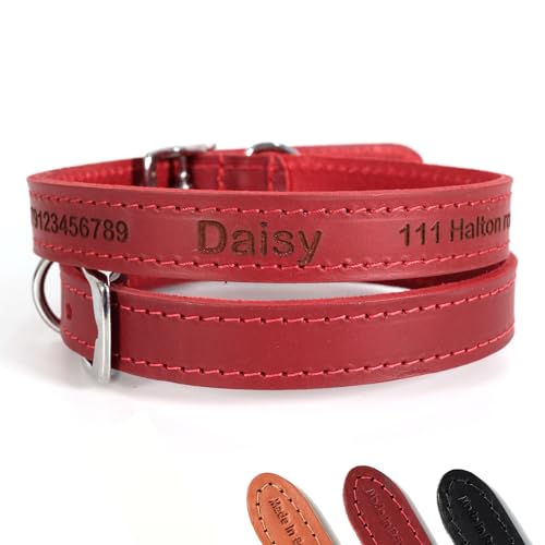 Personalisiertes Lederhalsband für Hund | Schaffen Sie Ihr einzigartiges Tierkennzeichen | Lasergravur - Größe 1, Rot von CustomDesign.Shop