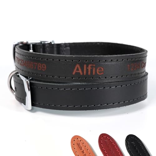 Personalisiertes Lederhalsband für Hund | Schaffen Sie Ihr einzigartiges Tierkennzeichen | Lasergravur - Größe 3, Schwarz von CustomDesign.Shop