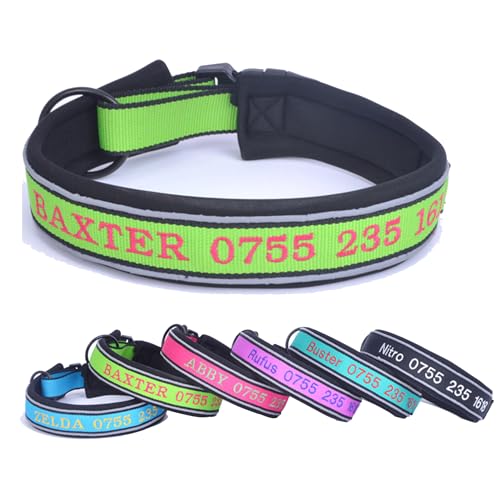 Personalisiertes reflektierendes Hundehalsband mit Haustiernamen und Telefonnummer, besticktes Nylon, maßgeschneidertes Halsband für Welpen, kleine, mittelgroße und große Jungen, Mädchen, Hunde Personalisiertes reflektierendes Hundehalsband mit Haustiernamen und Telefonnummer, besticktes Nylon, maßgeschneidertes Halsband für Welpen, kleine, mittelgroße und große Jungen, Mädchen, Hunde von CustomizeFactory