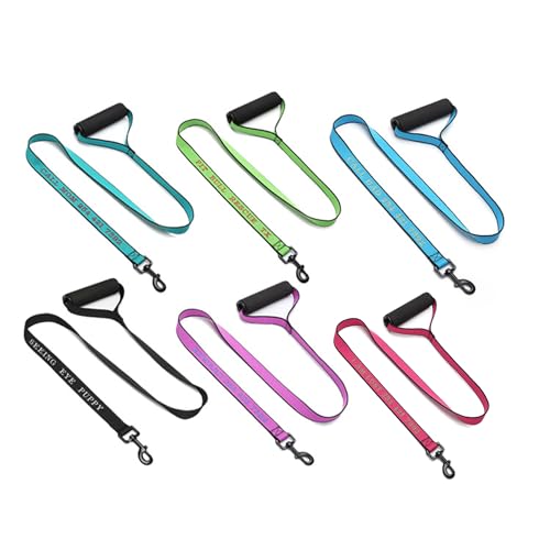 Personalisiertes reflektierendes Hundehalsband mit Haustiernamen und Telefonnummer, besticktes Nylon, maßgeschneidertes Halsband für Welpen, kleine, mittelgroße und große Jungen und Mädchen Personalisiertes reflektierendes Hundehalsband mit Haustiernamen und Telefonnummer, besticktes Nylon, maßgeschneidertes Halsband für Welpen, kleine, mittelgroße und große Jungen und Mädchen von CustomizeFactory