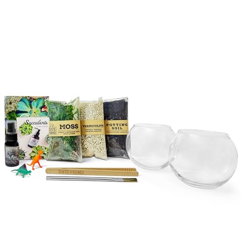 Cute Farms Glas-Terrarium-Set | Fügen Sie einfach Ihre eigenen Pflanzen hinzu (zwei Glasschalen) von Cute Farms
