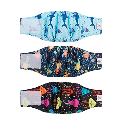 CuteBone Hundewindeln für Männliche Hunde Waschbare, 3 Stück Wiederverwendbare hund bauchband für Rüden Hochsaugfähige Hundewickel DM28XS-DE CuteBone Hundewindeln für Männliche Hunde Waschbare, 3 Stück Wiederverwendbare hund bauchband für Rüden Hochsaugfähige Hundewickel DM28XS-DE von CuteBone
