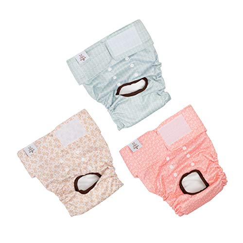 Cutebone Waschbare Hundewindeln für Hündinnen, 3 Stück Wiederverwendbare Hundewindeln, Hochsaugfähige Premium-Windeln für Hündchen D16L-DE Cutebone Waschbare Hundewindeln für Hündinnen, 3 Stück Wiederverwendbare Hundewindeln, Hochsaugfähige Premium-Windeln für Hündchen D16L-DE von CuteBone