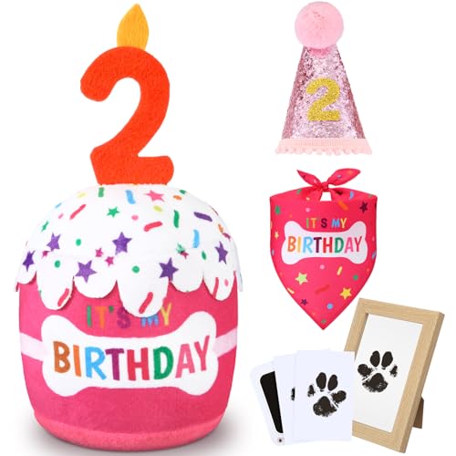 Cutecrop Hunde-Geschenk-Set zum 2. Geburtstag, für Jungen, Mädchen, Geburtstagsdekorationen, rosa Hut, Bandana, quietschendes Kuchenspielzeug, Pfotenabdruck-Kit für kleine, mittelgroße und große von Cutecrop