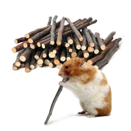 Kaninchen Kauspielzeug,40pcs Bunny Kaustock,Hamster Kauspielzeug,Kaninchen Apfelstab,Apfel Holz Kaustock,Nager Apfel Holz zum Knabbern,Backenzahn und Zähneknirschspielzeug für Kleine Haustiere von Cutiolly